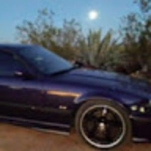 Meet your Posher, Suzi